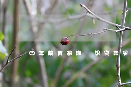 四年前有逾期 想贷款买车 四年前有逾期 想贷款买车